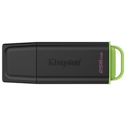 Kingston Pen USB portátil Datatraveler Exodia de 256 GB, USB 3.2 Gen 1, Preto/Verde - Kingston DTXG2/256GB