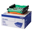Tambor. Duração estimada: 25.000 Pág. A4. Não inclui toner - Brother DR320CL