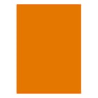 Cartolina A4 180gr 1 Folha Laranja Forte / Ocre (6F) - Outras 1725952/UN