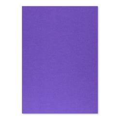 Cartolina 50x65cm Violeta/Roxo 7V 250g 1 Folha - Neutral 17205964/UN