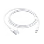 APPLE CABLE LIGHTNING TO USB 1 M - Apple MXLY2ZM/A