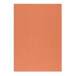 Cartolina 50x65cm Laranja Forte 6F 250g 1 Folha - Neutral 17205959/UN