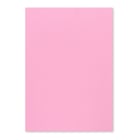 Cartolina A4 Rosa 7A 250g 125 Folhas - Neutral 1725824