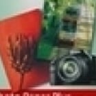 Photo Paper Semi-Glossy SG-201 A3 20 folhas - Canon 1686B026