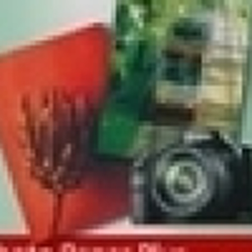 Photo Paper Semi-Glossy SG-201 A3 20 folhas - Canon 1686B026