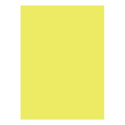 Cartolina 50x65cm Amarelo Canário 4A 180g 1 Folha - Neutral 17205948/UN
