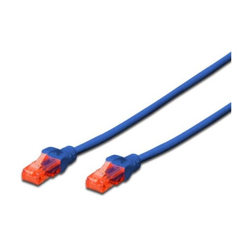 EWENT CHICOTE CAT6 UTP 5MT AZUL - Ewent IM1025
