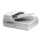 EPSON SCANNER DOCUMENTAL DS-7500 A4 DUPLEX 80PPM - Epson B11B205331