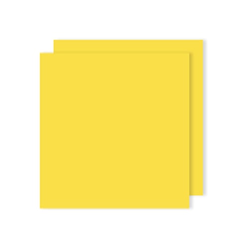Cartolina 50x65cm Amarelo Canário 240g 25 Folhas Canson - Canson 17240357