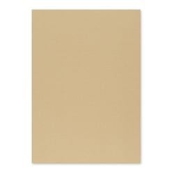 Cartolina 50x65cm Baunilha Escuro/Avelã 4D 250g 1 Folha - Neutral 17205915/UN