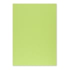 Cartolina 50x65cm Verde Lima 3N 250g 1 Folha - Neutral 17205909/UN