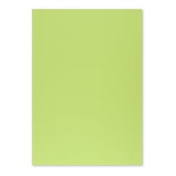Cartolina 50x65cm Verde Lima 3N 250g 1 Folha - Neutral 17205909/UN
