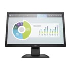 HP MONITOR P204v 19.5" LED BLACK - HP 5RD66AA