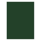 Cartolina 50x65cm Verde Oliva/Pinho 3O 180g 1 Folha - Neutral 17205952/UN