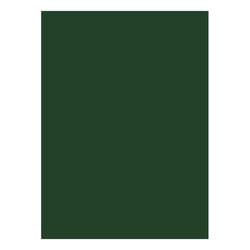 Cartolina 50x65cm Verde Oliva/Pinho 3O 180g 1 Folha - Neutral 17205952/UN