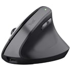 Rato TRUST TM-270 ergonomico, wireless - Trust MOUTRU25371