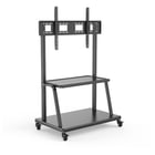 EWENT SUPORTE/MOVEL DE CHÃO PARA TV 55-120" 1x PRAT 150KGS - Ewent EW1541