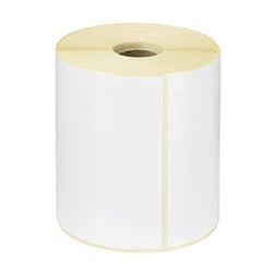 Etiquetas 100x150 D25mm Térmicas Rolo 500un - Neutral 1221050