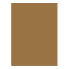 Cartolina 50x65cm Castanho Terra 10T 180g 1 Folha - Neutral 17205947/UN