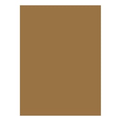 Cartolina 50x65cm Castanho Terra 10T 180g 1 Folha - Neutral 17205947/UN