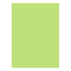Cartolina A4 Verde Lima 3N 180g 125 Folhas - Neutral 1722065