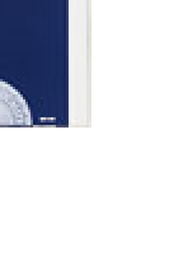 Premium Luster Photo Paper A3+ 100 folhas - Epson C13S041785