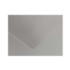 Cartolina A3 Prata Metalizada 280g 50 Folhas Canson - Canson 17205823