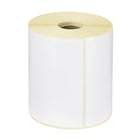 Etiquetas 100x150x25mm Térmicas Rolo 500un - Neutral 1221050