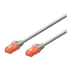 DIGITUS CHICOTE CAT6 UTP LSZH 5MT CINZA - DIGITUS DK-1617-050