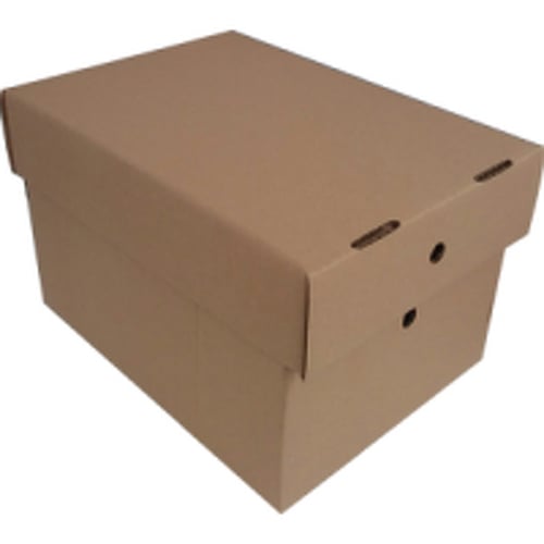 Caixa Arquivo com Tampa 306x226x197mm 25un - Outras 2621