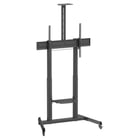 EWENT SUPORTE/ MOVEL CHÃO TV 60-100" OU 120KGS 1xSUP CAMERA AJUST ALT MANIVELA - Ewent EW1591