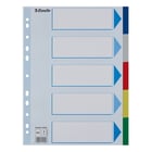 Separadores A4 Polipropileno Cores Sortidas 5 Pestanas - Esselte 1721085