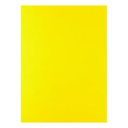 Cartolina 50x65cm Amarelo Girassol 180g 4G 1 Folha - Neutral 17205925/UN