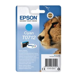 EPSON TINTEIRO AZUL D78/DX4000/5000/6000/7000/ C/RADIO FRQ - Epson C13T07124022
