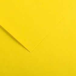 Cartolina 50x65cm Amarelo Canario 185g 1 Folha Canson - Canson 17240221