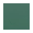 Cartolina 50x65cm Verde Amazonas 185g 1 Folha Canson - Canson 17240240