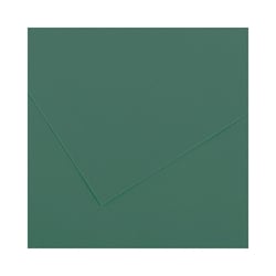 Cartolina 50x65cm Verde Amazonas 185g 1 Folha Canson - Canson 17240240