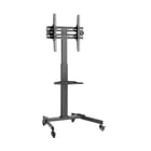 EQUIP SUPORTE CHAO UNIVERSAL TV CART 32">55" 650607 - Equip 650607