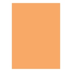 Cartolina 50x65cm Laranja Suave 6A 180g 1 Folha - Neutral 17205929/UN