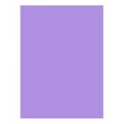 Cartolina 50x65cm Lilás Pálido 7L 180g 1 Folha - Neutral 17205946/UN