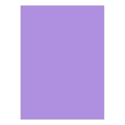 Cartolina 50x65cm Lilás Pálido 7L 180g 1 Folha - Neutral 17205946/UN