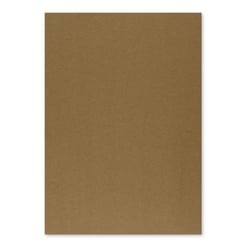 Cartolina 50x65cm Castanho Terra 10T 250g 1 Folha - Neutral 17205916/UN