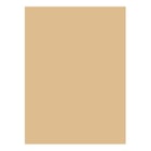 Cartolina 50x65cm Baunilha Escuro/Avelã 4D 180g 1 Folha - Neutral 17205922/UN