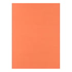 Cartolina 50x65cm Laranja Forte 6F 180g 1 Folha - Neutral 17205938/UN