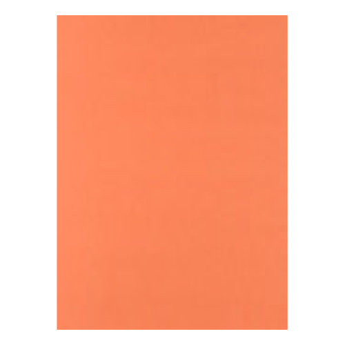 Cartolina 50x65cm Laranja Forte 6F 180g 1 Folha - Neutral 17205938/UN