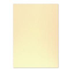 Cartolina 50x65cm Creme Torrado 4T 250g 1 Folha - Neutral 17205917/UN