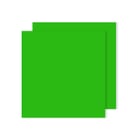Cartolina 50x65cm Verde Bilhar 240g 25 Folhas Canson - Canson 17240382