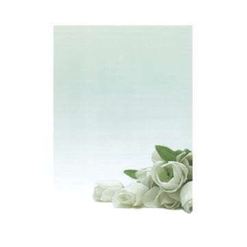 Papel Temático Flor Branca A4 90g 20 Folhas - APLI APL12126