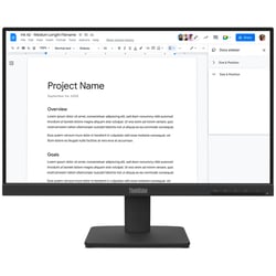 LENOVO ThinkVision S22-4e 21.5inch FHD IPS 100Hz HDMI VGA - Lenovo 64CBKAT6EU