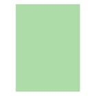 Cartolina 50x65cm Verde Suave 3A 180g 1 Folha - Neutral 17205924/UN
